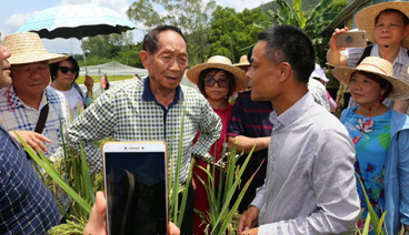 水稻之父袁隆平到种植基地指导